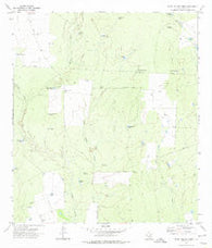 Beef Hollow Creek Texas Historical topographic map, 1:24000 scale, 7.5 X 7.5 Minute, Year 1972