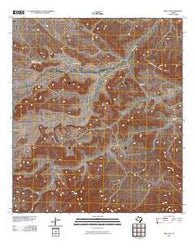 Beef Gap Texas Historical topographic map, 1:24000 scale, 7.5 X 7.5 Minute, Year 2010