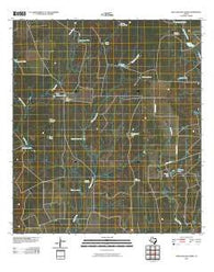 Beef Hollow Creek Texas Historical topographic map, 1:24000 scale, 7.5 X 7.5 Minute, Year 2010