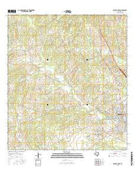 Beeville West Texas Current topographic map, 1:24000 scale, 7.5 X 7.5 Minute, Year 2016