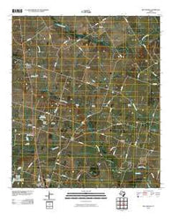 Ben Arnold Texas Historical topographic map, 1:24000 scale, 7.5 X 7.5 Minute, Year 2010