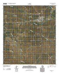 Benavides Texas Historical topographic map, 1:24000 scale, 7.5 X 7.5 Minute, Year 2010