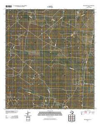 Benavides NE Texas Historical topographic map, 1:24000 scale, 7.5 X 7.5 Minute, Year 2010