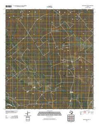 Benavides NW Texas Historical topographic map, 1:24000 scale, 7.5 X 7.5 Minute, Year 2010