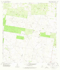 Bentsen Ranch Texas Historical topographic map, 1:24000 scale, 7.5 X 7.5 Minute, Year 1972