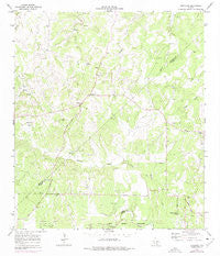 Bergheim Texas Historical topographic map, 1:24000 scale, 7.5 X 7.5 Minute, Year 1964