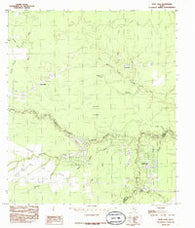 Bevil Oaks Texas Historical topographic map, 1:24000 scale, 7.5 X 7.5 Minute, Year 1984