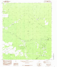 Bevil Oaks Texas Historical topographic map, 1:24000 scale, 7.5 X 7.5 Minute, Year 1984