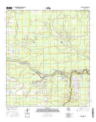 Bevil Oaks Texas Current topographic map, 1:24000 scale, 7.5 X 7.5 Minute, Year 2016