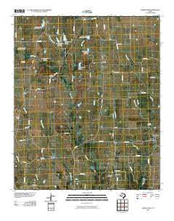 Biardstown Texas Historical topographic map, 1:24000 scale, 7.5 X 7.5 Minute, Year 2010