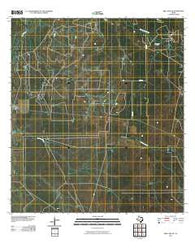 Biel Lake NE Texas Historical topographic map, 1:24000 scale, 7.5 X 7.5 Minute, Year 2010