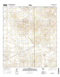 Biel Lake SE Texas Current topographic map, 1:24000 scale, 7.5 X 7.5 Minute, Year 2016