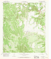 Big Four Ranch Texas Historical topographic map, 1:24000 scale, 7.5 X 7.5 Minute, Year 1966