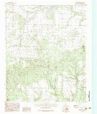 Big Mound Texas Historical topographic map, 1:24000 scale, 7.5 X 7.5 Minute, Year 1983