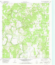 Big Valley North Texas Historical topographic map, 1:24000 scale, 7.5 X 7.5 Minute, Year 1980
