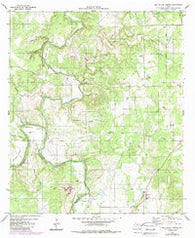 Big Valley North Texas Historical topographic map, 1:24000 scale, 7.5 X 7.5 Minute, Year 1980