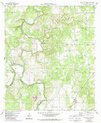 Big Valley North Texas Historical topographic map, 1:24000 scale, 7.5 X 7.5 Minute, Year 1980