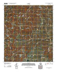 Big Valley North Texas Historical topographic map, 1:24000 scale, 7.5 X 7.5 Minute, Year 2010
