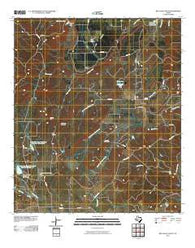 Big Valley South Texas Historical topographic map, 1:24000 scale, 7.5 X 7.5 Minute, Year 2010