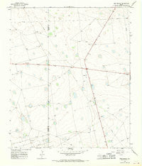 Bird Ranch Texas Historical topographic map, 1:24000 scale, 7.5 X 7.5 Minute, Year 1966