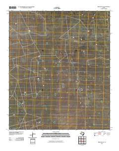 Bird Ranch Texas Historical topographic map, 1:24000 scale, 7.5 X 7.5 Minute, Year 2010