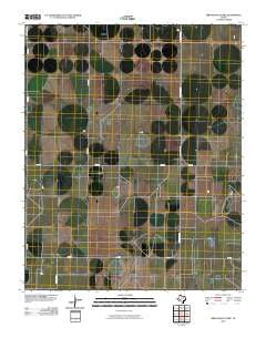 Bird Ranch Store Texas Historical topographic map, 1:24000 scale, 7.5 X 7.5 Minute, Year 2010