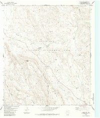 Black Gap Texas Historical topographic map, 1:24000 scale, 7.5 X 7.5 Minute, Year 1983