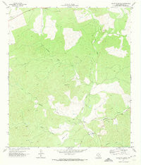 Black Waterhole Texas Historical topographic map, 1:24000 scale, 7.5 X 7.5 Minute, Year 1971