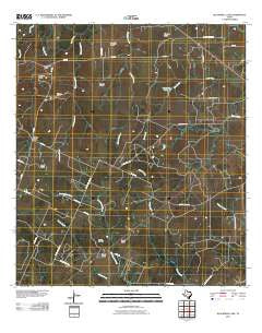 Blackwell Lake Texas Historical topographic map, 1:24000 scale, 7.5 X 7.5 Minute, Year 2010