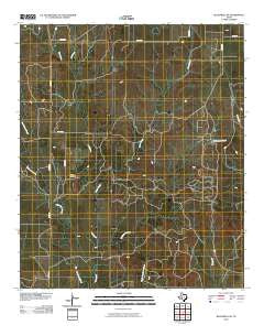 Blackwell NE Texas Historical topographic map, 1:24000 scale, 7.5 X 7.5 Minute, Year 2010