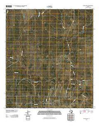 Blanconia Texas Historical topographic map, 1:24000 scale, 7.5 X 7.5 Minute, Year 2010