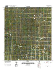 Blanconia Texas Historical topographic map, 1:24000 scale, 7.5 X 7.5 Minute, Year 2013