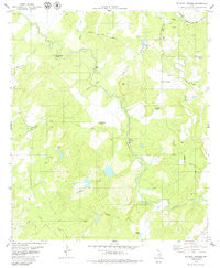 Blanket Springs Texas Historical topographic map, 1:24000 scale, 7.5 X 7.5 Minute, Year 1979
