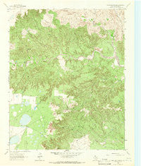 Blue Hole Springs Texas Historical topographic map, 1:24000 scale, 7.5 X 7.5 Minute, Year 1963