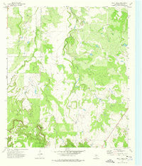 Bluff Creek Texas Historical topographic map, 1:24000 scale, 7.5 X 7.5 Minute, Year 1973
