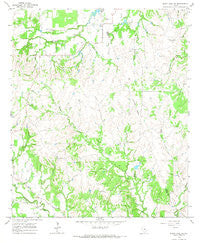 Bluff Dale NE Texas Historical topographic map, 1:24000 scale, 7.5 X 7.5 Minute, Year 1965