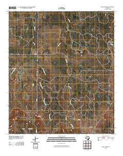 Bluff Creek Texas Historical topographic map, 1:24000 scale, 7.5 X 7.5 Minute, Year 2010