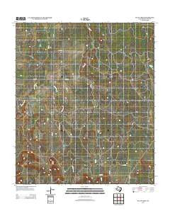 Bluff Creek Texas Historical topographic map, 1:24000 scale, 7.5 X 7.5 Minute, Year 2012