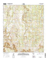 Bluff Creek Texas Current topographic map, 1:24000 scale, 7.5 X 7.5 Minute, Year 2016
