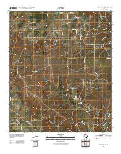 Bluff Dale NE Texas Historical topographic map, 1:24000 scale, 7.5 X 7.5 Minute, Year 2010
