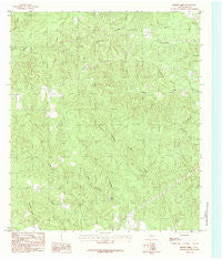 Boggy Lake Texas Historical topographic map, 1:24000 scale, 7.5 X 7.5 Minute, Year 1984