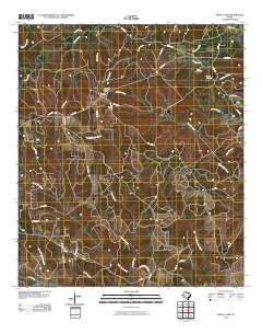 Boggy Lake Texas Historical topographic map, 1:24000 scale, 7.5 X 7.5 Minute, Year 2010