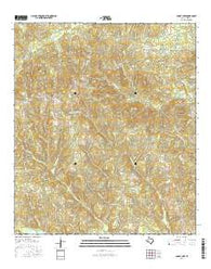Boggy Lake Texas Current topographic map, 1:24000 scale, 7.5 X 7.5 Minute, Year 2016