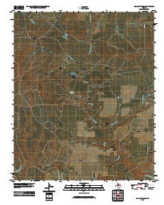 Boiling Spring Texas Historical topographic map, 1:24000 scale, 7.5 X 7.5 Minute, Year 2010