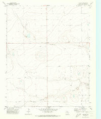 Bootleg Texas Historical topographic map, 1:24000 scale, 7.5 X 7.5 Minute, Year 1971