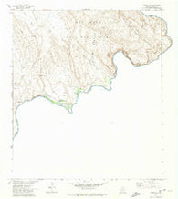 Boquillas Texas Historical topographic map, 1:24000 scale, 7.5 X 7.5 Minute, Year 1971