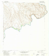 Boquillas Texas Historical topographic map, 1:24000 scale, 7.5 X 7.5 Minute, Year 1971