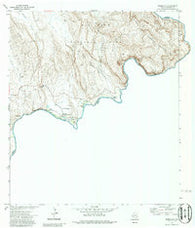 Boquillas Texas Historical topographic map, 1:24000 scale, 7.5 X 7.5 Minute, Year 1971