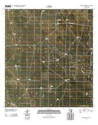 Borregos Ranch Texas Historical topographic map, 1:24000 scale, 7.5 X 7.5 Minute, Year 2010