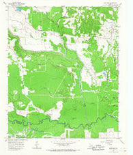 Boxelder Texas Historical topographic map, 1:24000 scale, 7.5 X 7.5 Minute, Year 1965